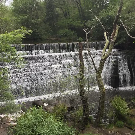 Piso En El Centro De