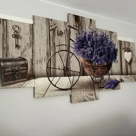 Piso En El Centro De Apartment *