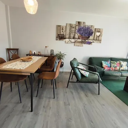 Apartment Piso En El Centro De Viveiro