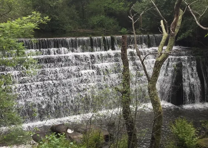 Piso En El Centro De